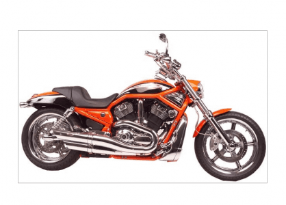 EGZOZ-V-ROD SLASC CUT 2